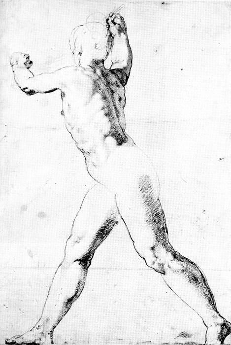 ZUCCARO  Taddeo Study of a Male Nude oil painting image